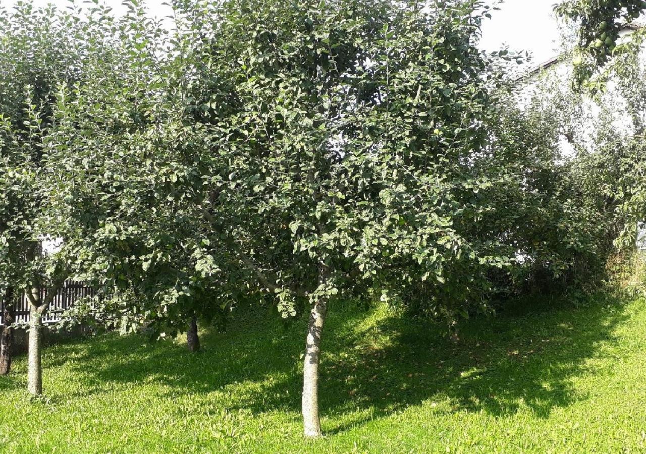 Landhof Sedlmair Gilching